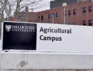 B&M project profile - Utility Services & Renewables - Dalhousie University Energy Transfer Project