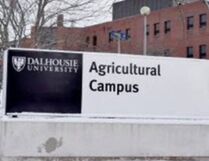 B&M project profile - Utility Services & Renewables - Halifax Airport Installation