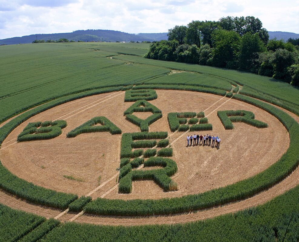 B&M project profile - Electrical Construction & Maintenance - Bayer Building Expansion